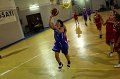 Basket 443024